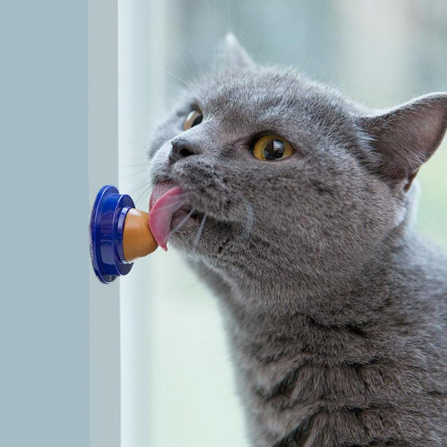 Healthy Cat Catnip Sugar Cats Snacks Licking Candy Nutrition Energy Ball Toys for Cat Kitten Playing Pet Cat Products